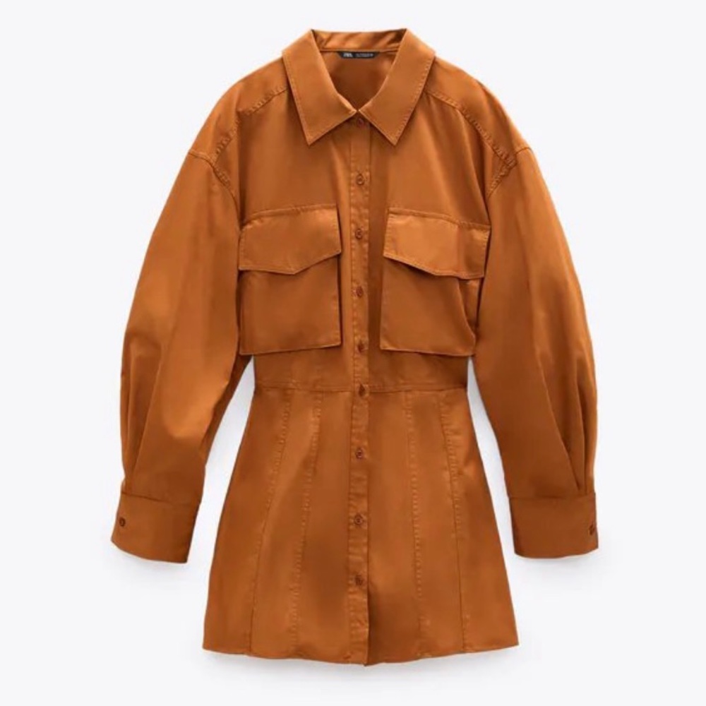 Zara dress